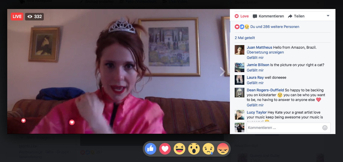 Screenshot von Kates Livestream kurz vor Ende der Kickstarter-Aktion