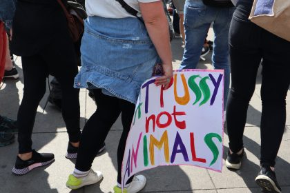 Eat Pussy Not Animals - Plakat